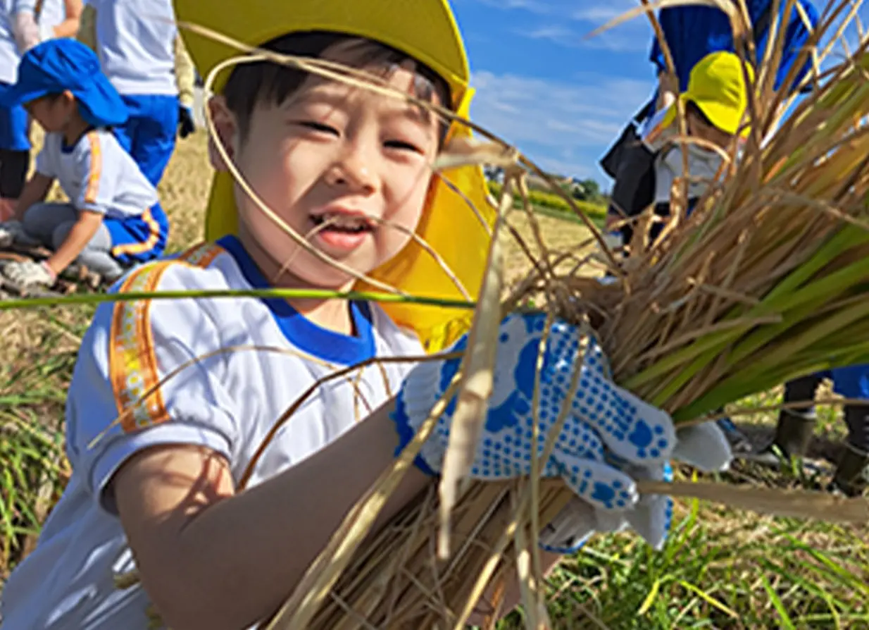稲刈り体験で笑顔を見せる子ども