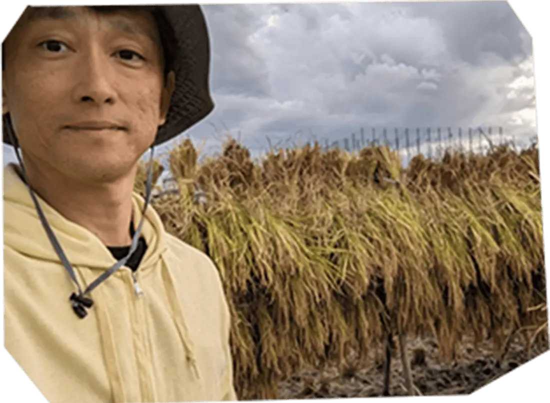 代表 内田洋介